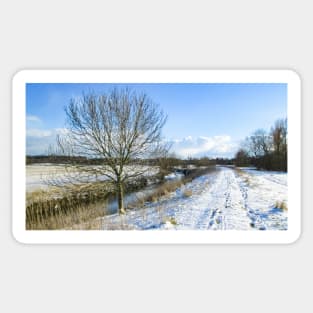 Winter Walk by the River Sticker